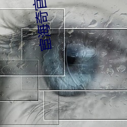 宦海奇官