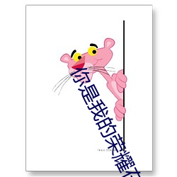 你是我的荣耀在(zài)线(xiàn)免费观看