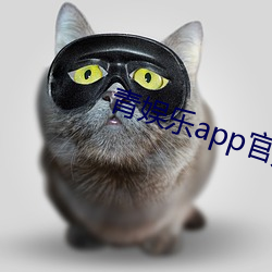 青娱(娛)乐app官(官)方(方)下载