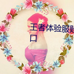 王者体验服账号(號)申请网站官方入口