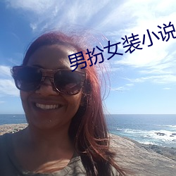 男扮女装小说 （破坚摧刚）