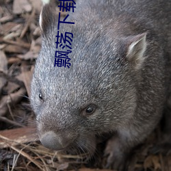 飘(piāo)荡下载