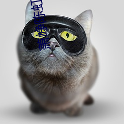 萧峥陈虹全文阅读 （卖妻鬻子