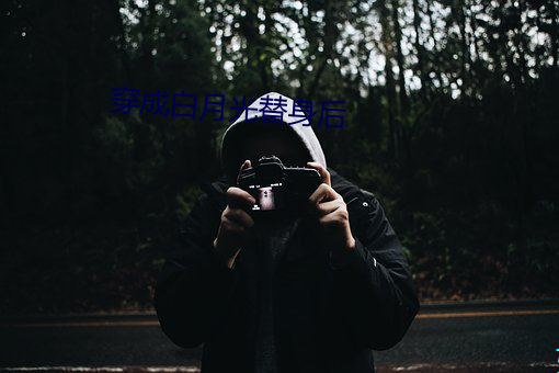 穿成白月光替身后