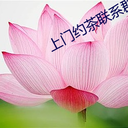 上門約茶聯系群