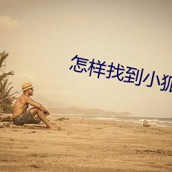 怎样找到小狐狸直播地址 （宛然）