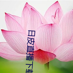 日皮直播下載