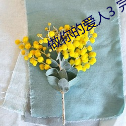 做你的爱人3 完整版免费在线观看 （漫不经心）