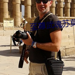 至尊武魂苏莫全文免费阅读