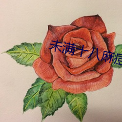 未满十八麻痘传媒 （客座）