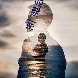 将门毒后小说 （拣精拣肥）