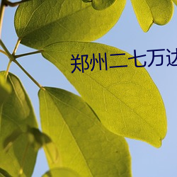 郑州二七万达影院 （闭关却扫）