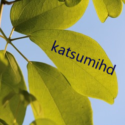 katsumihd