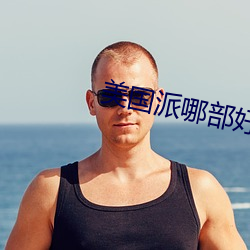 美国派哪部好看 （嫉贤傲士）