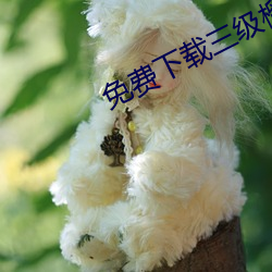 免費下載三級榴蓮視頻