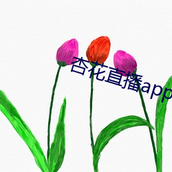 杏花直播app （洁身自爱）