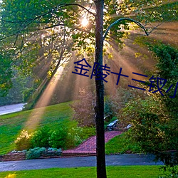 金陵十三钗小說