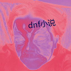 dnf小说(說)