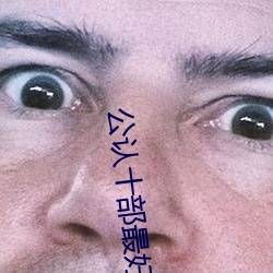 公认十部最好看的车牌 （才疏志大）