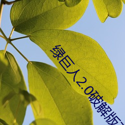 绿(lǜ)巨(jù)人(rén)2.0破解版下(xià)载