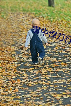 雪中悍(hàn)刀行(xíng)电视剧(jù)神马(mǎ)影院