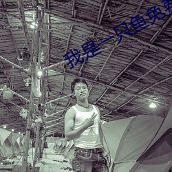 我是一(yī)只鱼(yú)免费下载