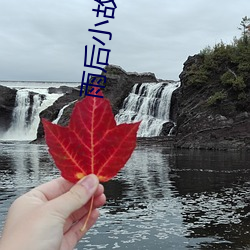 雨后小故事动漫未删减版樱 （开颜）