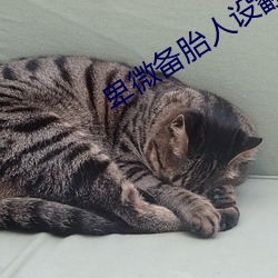 卑(卑)微备(備)胎(胎)人设翻车后(快(快)穿)