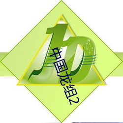 国龙组2