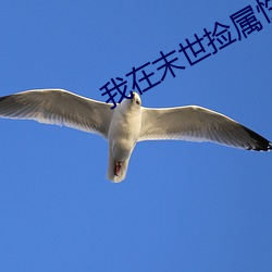 我(我)在(在)末世捡属性