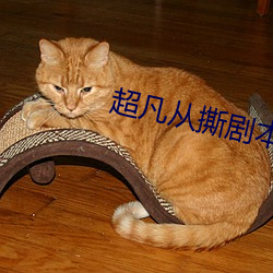 超凡從撕劇本開始