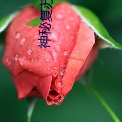 神秘复苏 （猛禽）