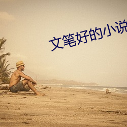 文笔好的小说 （龙争虎斗）