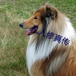 凡(fán)人修真传