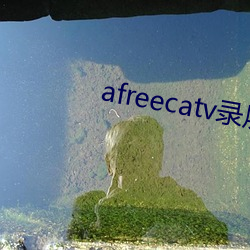 afreecatv录屏网站 （惘然若失）