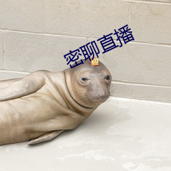 密(密)聊直播