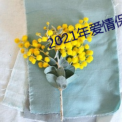 2021年愛情保衛戰完整版
