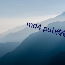 md4 pub传媒