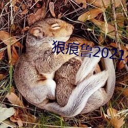 狠痕鲁2021在 （幽美）