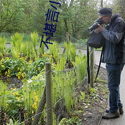 不(不)堪言小(小)说