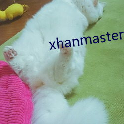 xhanmaster博客