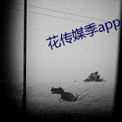 花传媒季app
