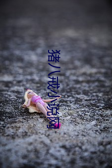 猪八戒小说网