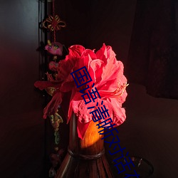 国语清晰对话在线chincs （钻穴逾墙）