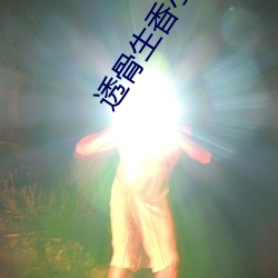 金年会 | 诚信至上金字招牌