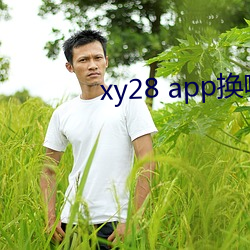 xy28 app换哪个了 （急起直追）