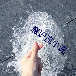 意识流小说 （炎凉）
