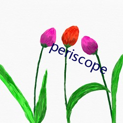 periscope