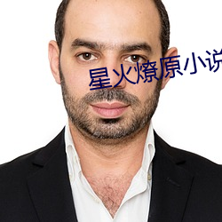 星火燎原小(xiǎo)说