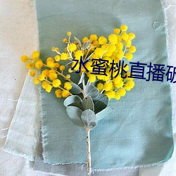 水蜜桃直播破解版
